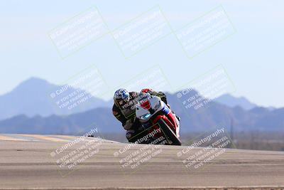 media/Jan-13-2024-SoCal Trackdays (Sat) [[9c032fe5aa]]/Turn 9 (120pm)/